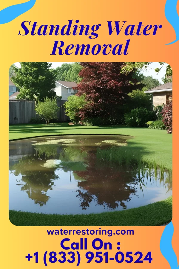 Standing Water Removal in Hialeah, FL